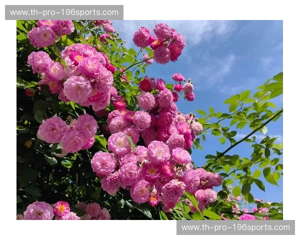 烟雨江南遇上渤海明珠：一场关于“杭州vs天津”的浪漫畅想